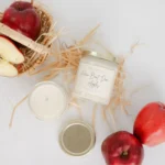 All Things New Boutigue | How Bout Dem Apples | Fall | 8 oz Candle
